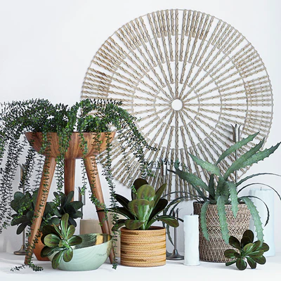 Plant decor set - 1 — Ver 1