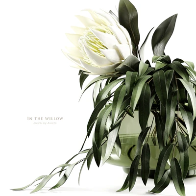 In the willow — Вид 7