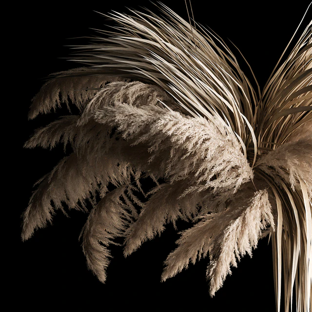 Hanging bouquet of dry reeds and pampas grass for decoration and interior. 266. — Descargar