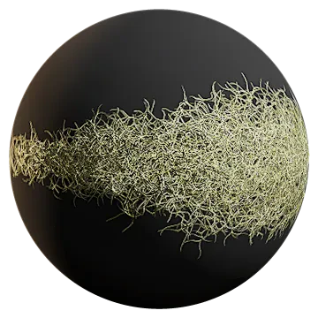 spanish moss 005 — Скачать