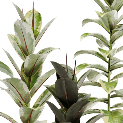 indoor plant Set 12 — Вид 7