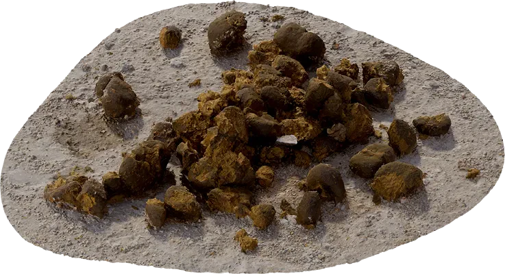 horse manure 003 — Descargar