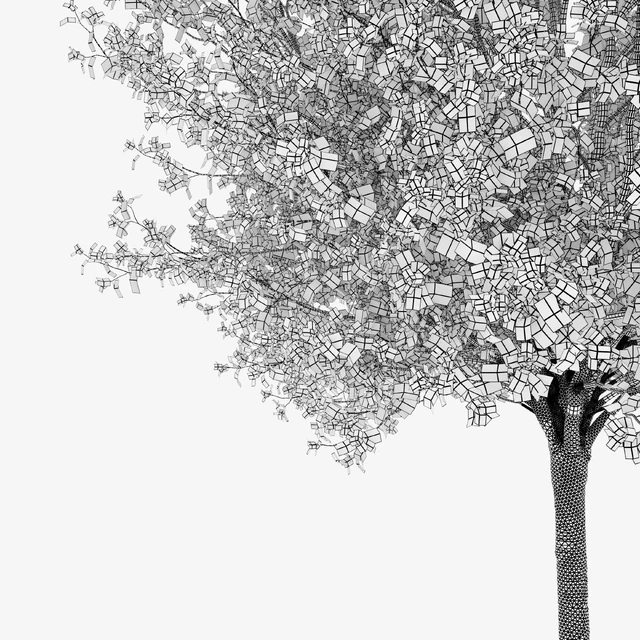 Autumn pear tree — Descargar