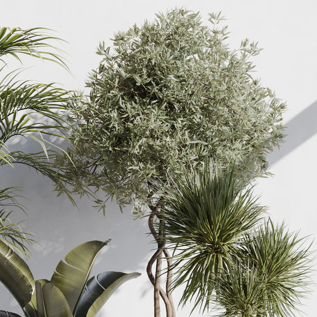 indoor plant set 69 — Descargar