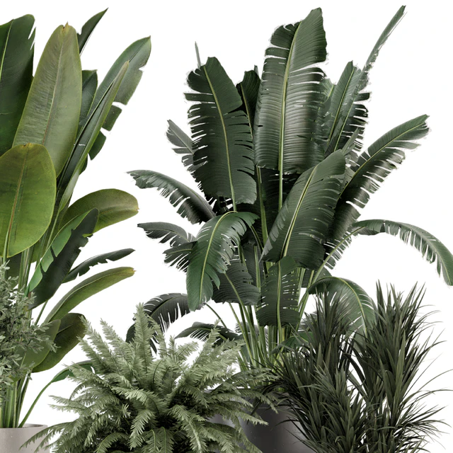 Indoor Plants in rusty Concrete Pot - Set 1167 — Descargar