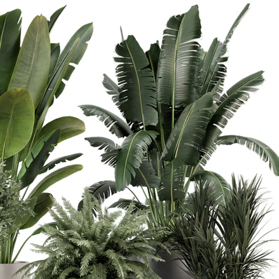 Indoor Plants in rusty Concrete Pot - Set 1167 — Ver 7