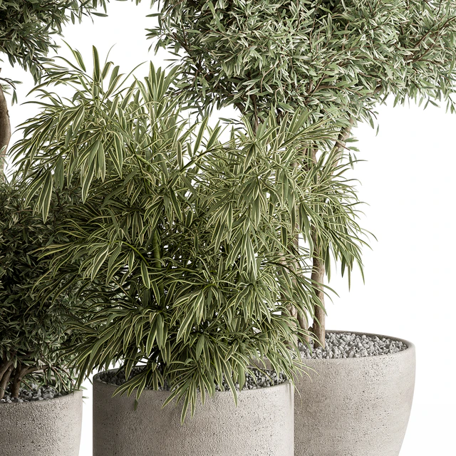 indoor Plant Set 417 - Tree and Bush — Descargar