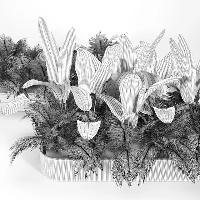 Flowerbed palm — Descargar