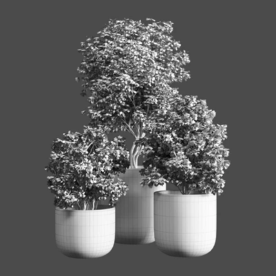 Outdoor plant 06 — Ver 4