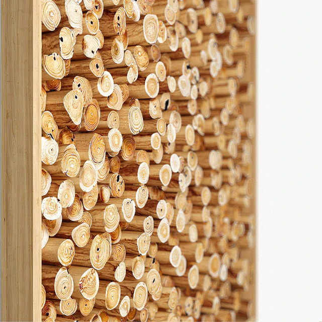panels of cut a tree 02 — Descargar