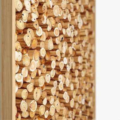 panels of cut a tree 02 — Ver 5