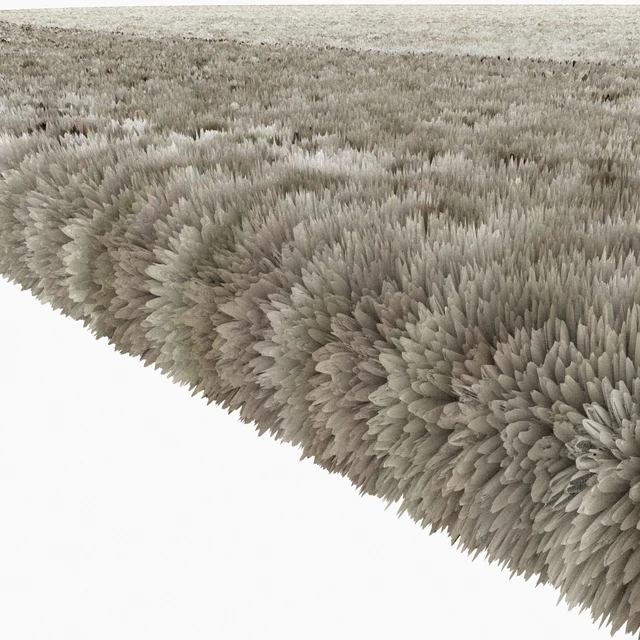 Rug RUGGY By Gallotti & Radice — Descargar