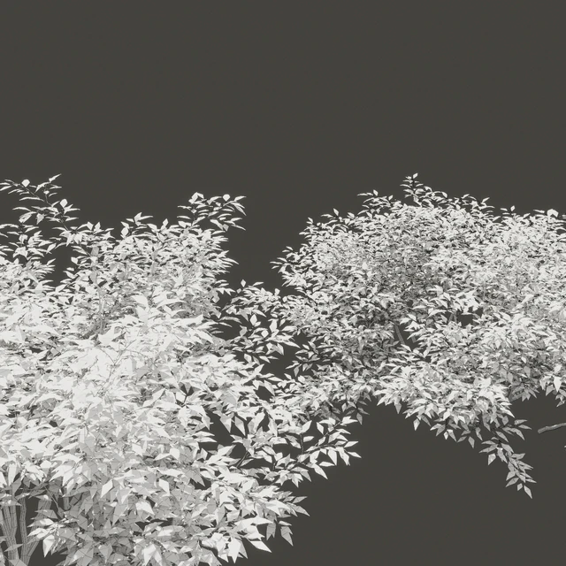 Summer bushes # 1 — Descargar