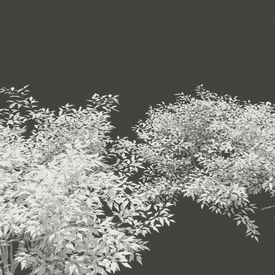 Summer bushes # 1 — Ver 3