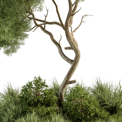 Garden Set Tree and Plants - Outdoor Plants Set 399 — Ver 4