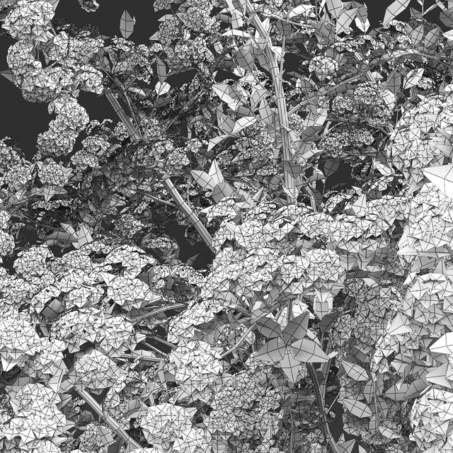 Spiraea Vanhouttei — Скачать