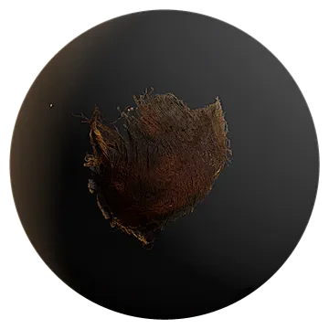 palm tree bark 002 — Скачать