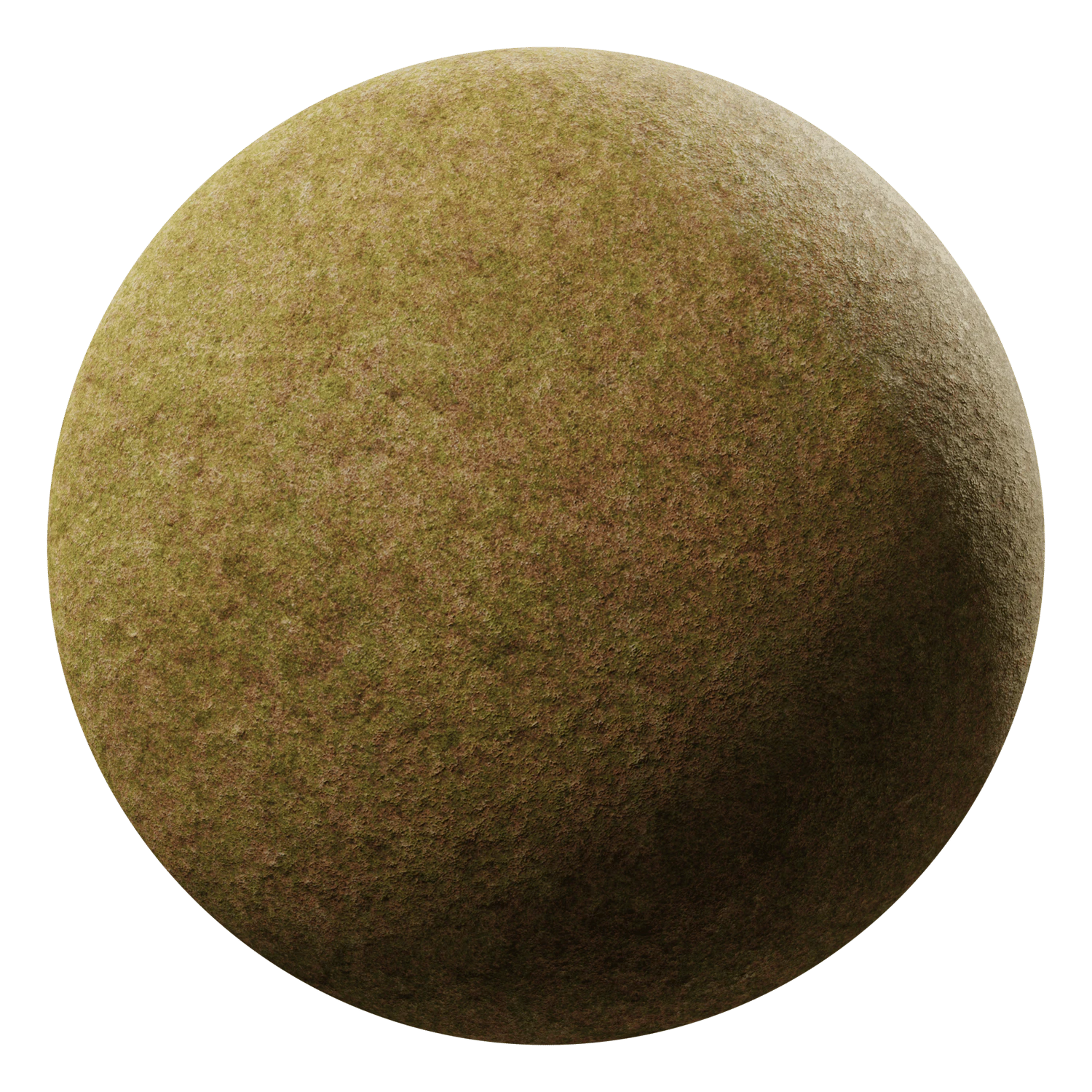 grass field brown patchy  001 — Скачать