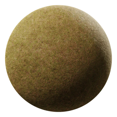 grass field brown patchy  001 — Скачать