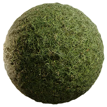 uncut grass 020 — Скачать