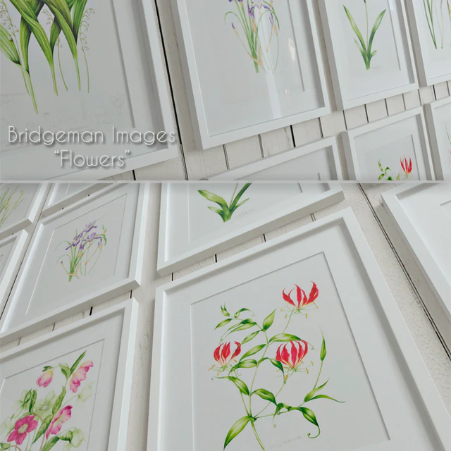 Bridgeman Images "Flowers" — Descargar