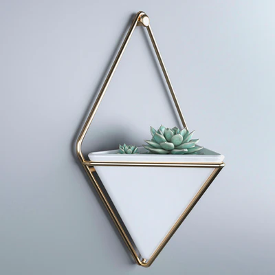 Succulents in hanging pots Umbra trigg — Ver 3