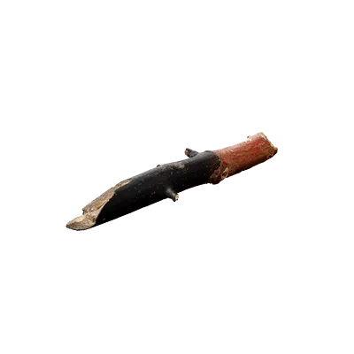 tree debris 017 — Скачать