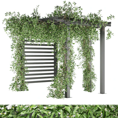 Collection plant vol 143 — Ver 1