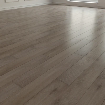 Laminate. Parquet. 171 — Ver 3
