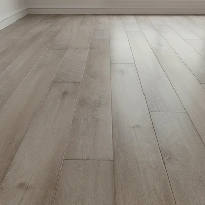 Laminate. Parquet. 171 — Ver 1