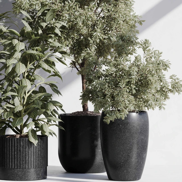 indoor plant set 85 — Скачать
