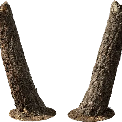 broken tree trunk 001 — Скачать