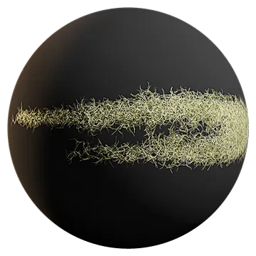 spanish moss 012 — Скачать