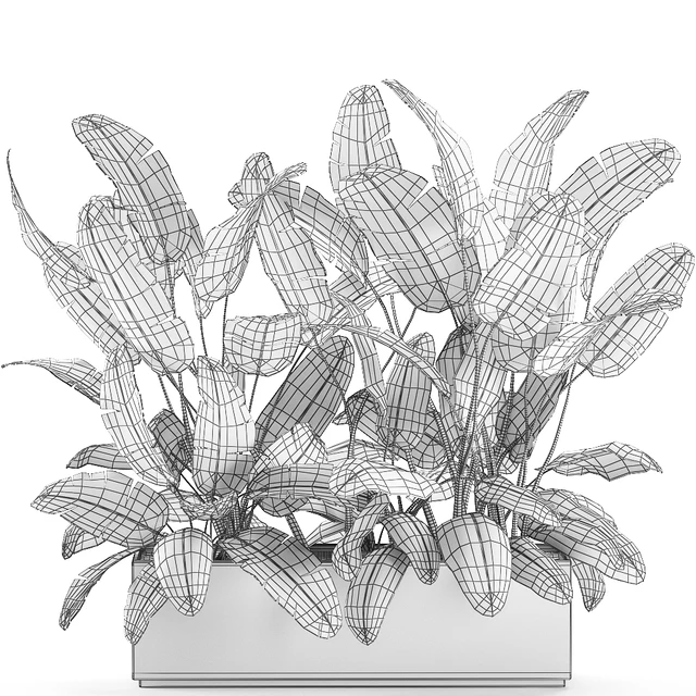 Beautiful lush thickets of bushes of plants in a white pot flowerbed with strelitzia, banana palm, ravenala. Set 590. — Descargar