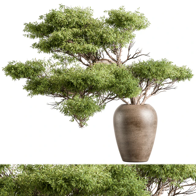 Bouquet - Green Branch 116 — Descargar