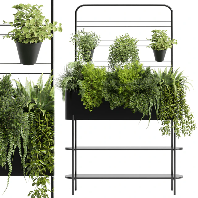 Collection Indoor plant 126 Auckland Black Metal Flower Box plant ivy fern pots — Скачать