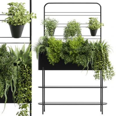 Collection Indoor plant 126 Auckland Black Metal Flower Box plant ivy fern pots — Вид 1