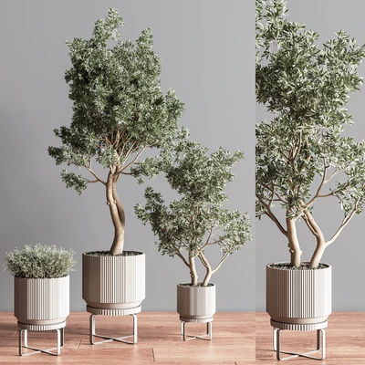 Indoor Plant Set11 — Ver 4