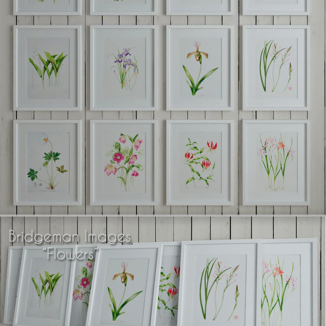 Bridgeman Images "Flowers" — Descargar