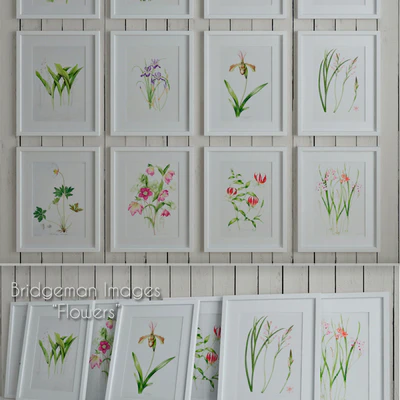 Bridgeman Images "Flowers" — Ver 1