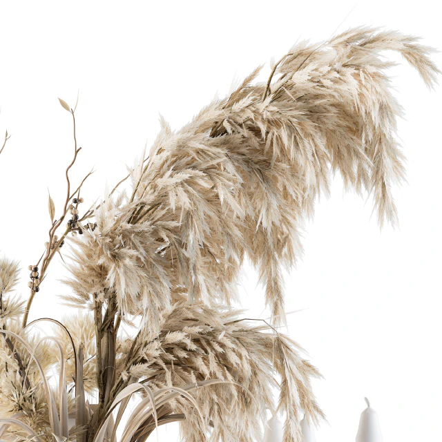 Decorative Set Dried Plants and Pampas - Set 46 — Descargar