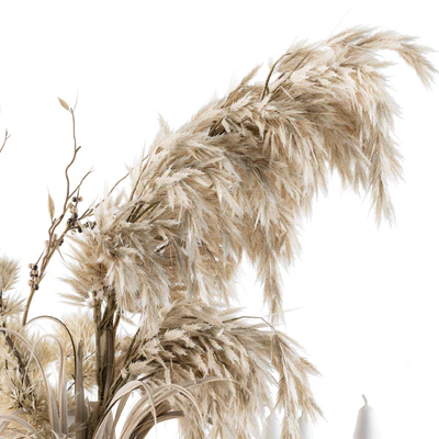 Decorative Set Dried Plants and Pampas - Set 46 — Ver 4