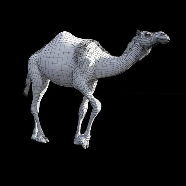 Camel — Descargar
