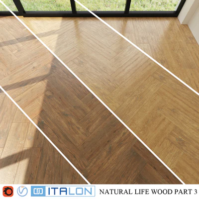 ITALON NATURAL LIFE WOOD 22,5X90 PART 3 — Ver 1