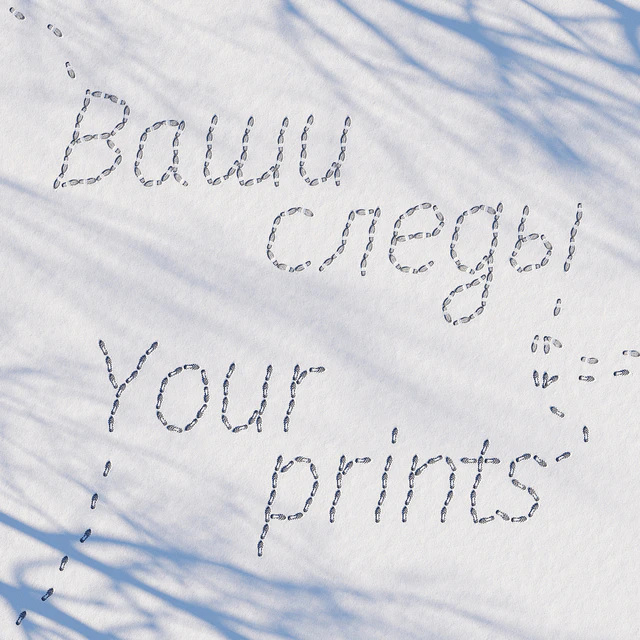 Prints in the snow — Descargar