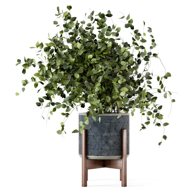 Indoor Plants in rusty Concrete Pot - Set 244 — Descargar