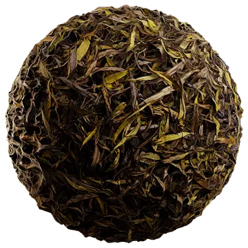 dried leaves 013 — Descargar