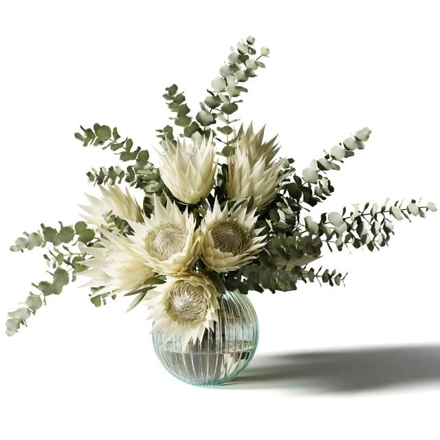 Bouquet with white proteas and eucalyptus in a ribbed glass vase — Descargar