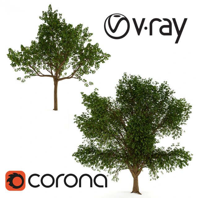 Two Oaks — Скачать