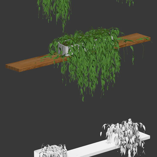 Potted plants on the shelves v2 — Descargar